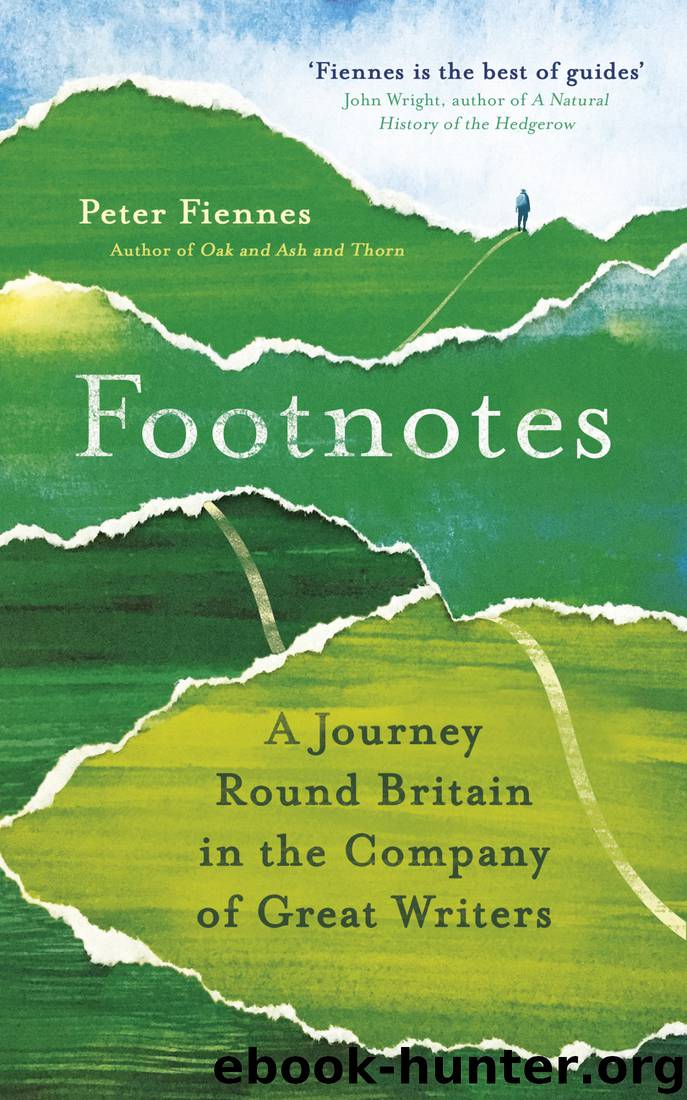Footnotes by Peter Fiennes