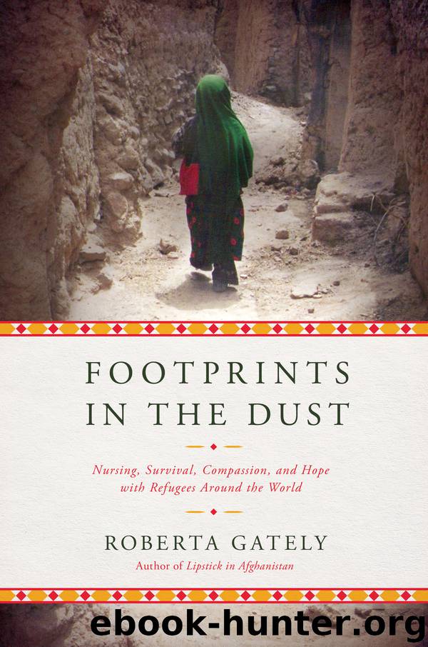 Footprints in the Dust by Roberta Gately