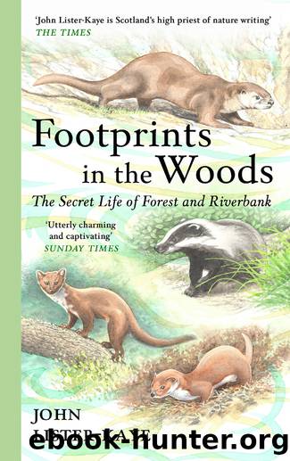 Footprints in the Woods by John Lister-Kaye