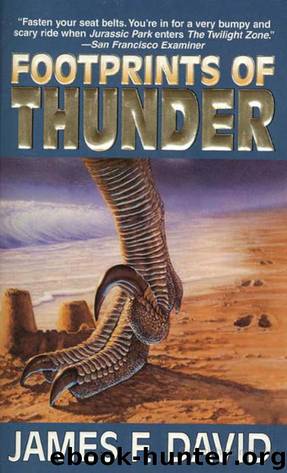 Footprints of Thunder by James F. David