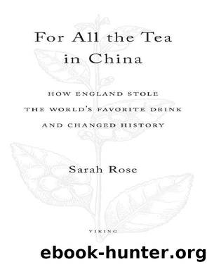 For All the Tea in China by Sarah Rose