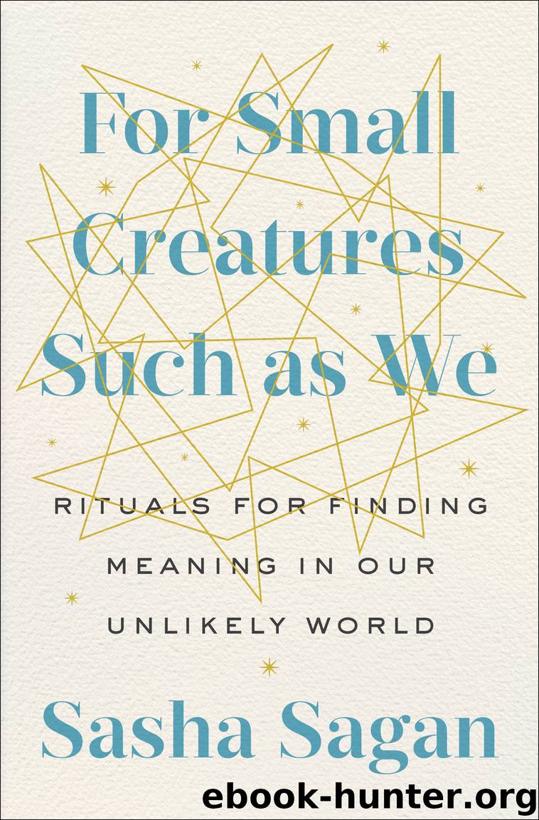 For Small Creatures Such as We by Sasha Sagan