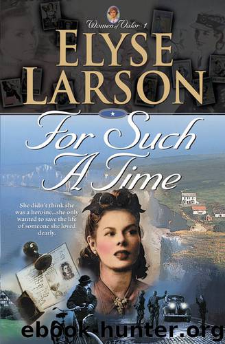 For Such a Time by Elyse Larson