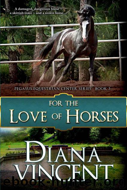 For The Love of Horses (Pegasus Equestrian Center) by Vincent Diana