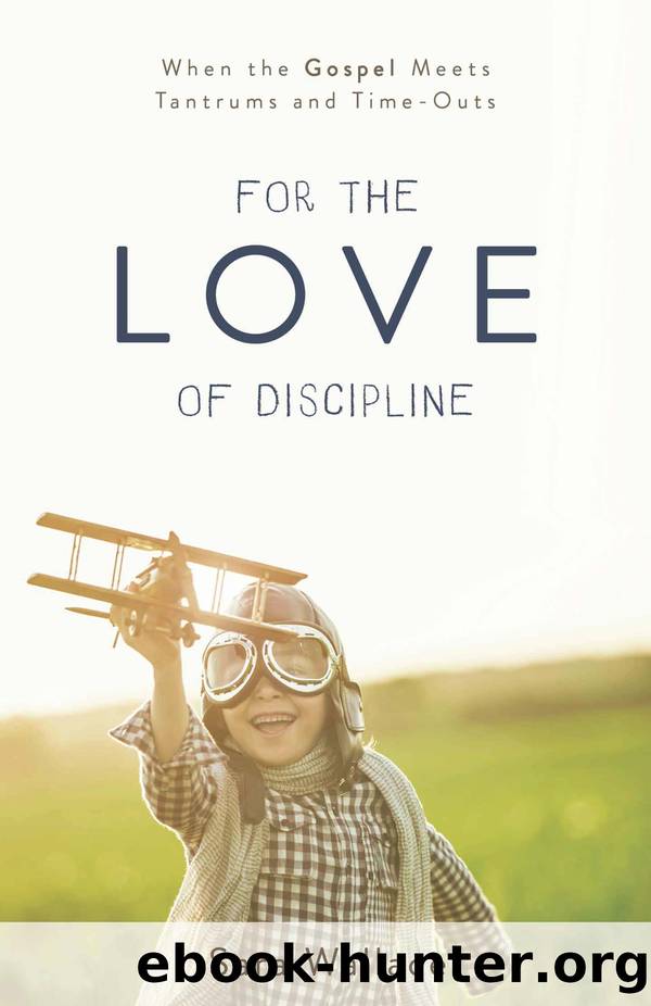 For the Love of Discipline by Sara Wallace