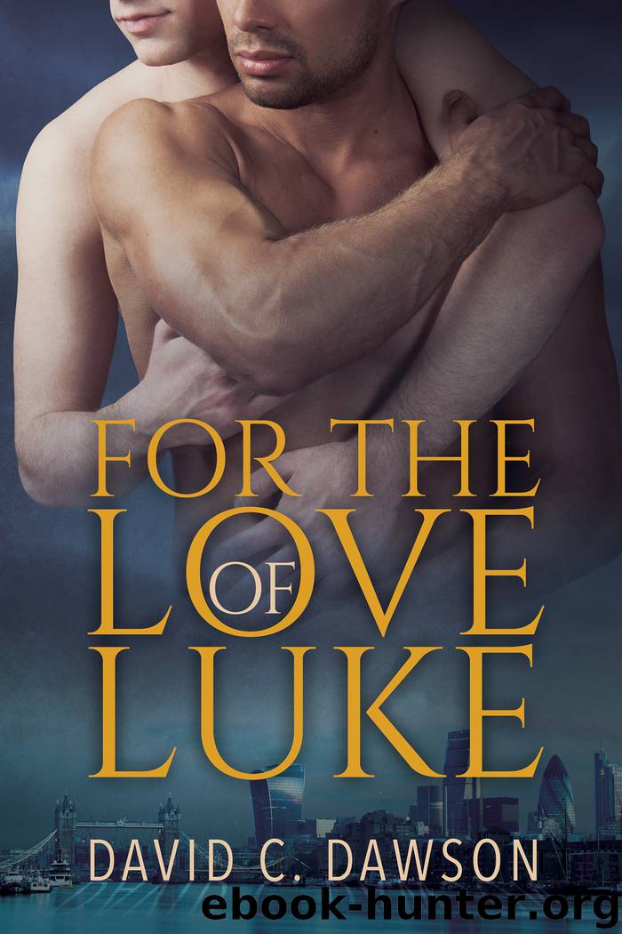 For the Love of Luke by David C. Dawson