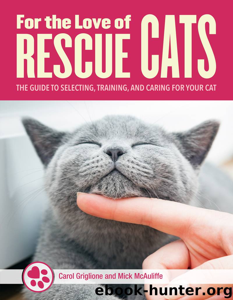 For the Love of Rescue Cats by Tom Colvin