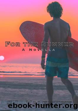 For the Summer by S.L. Valentine
