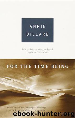 For the Time Being by Annie Dillard