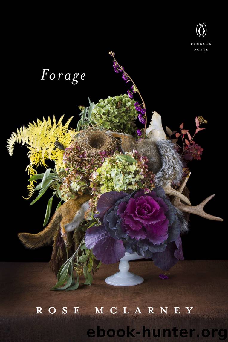 Forage by Rose McLarney