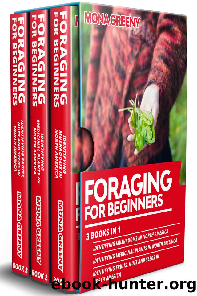 Foraging For Beginners: 3 books in 1 : Identifying Mushrooms in North America + Identifying Medicinal Plants in North America + Identifying Fruits, Nuts and Seeds in North America by Mona Greeny