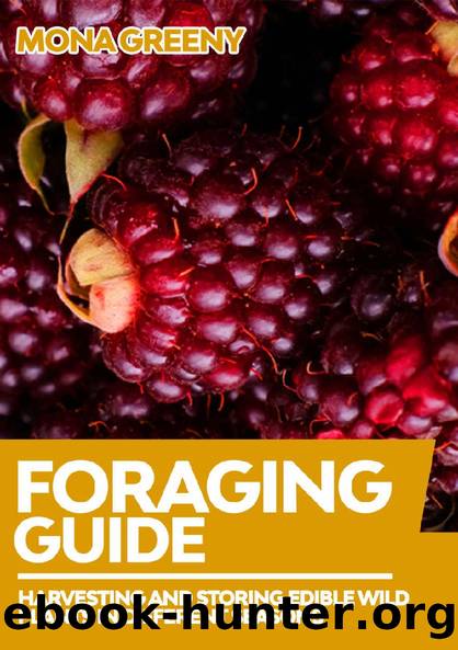 Foraging Guide: Harvesting and Storing Edible Wild Plants in Different Seasons by Mona Greeny