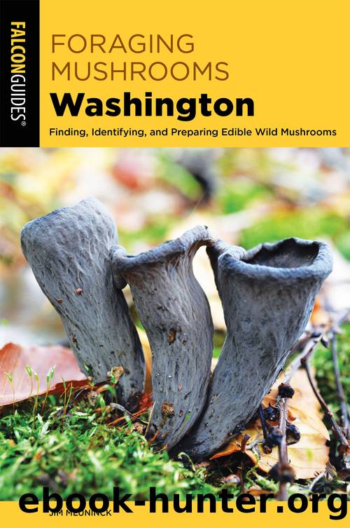 Foraging Mushrooms Washington by Jim Meuninck