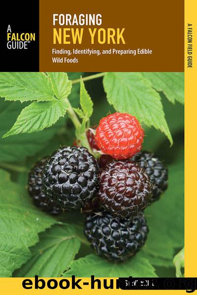 Foraging New York: Finding, Identifying, and Preparing Edible Wild Foods (Foraging Series) by Brill "Wildman" Steve