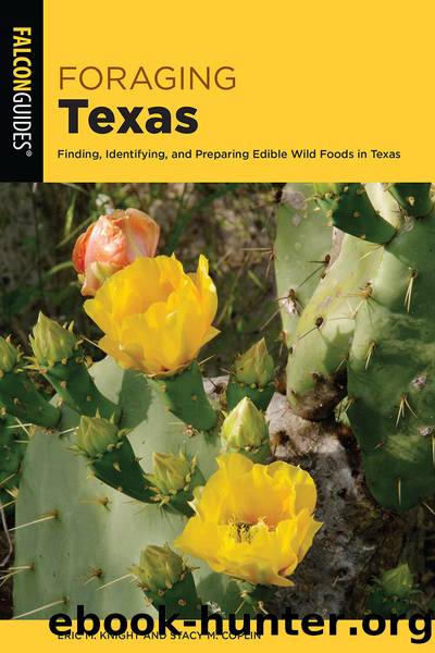 Foraging Texas by Stacy M. Coplin & STACY M. COPLIN