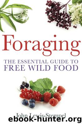 Foraging by John Lewis-Stempel
