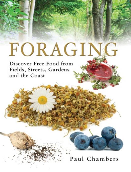 Foraging by Paul Chambers