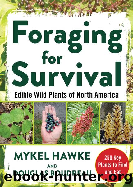 Foraging for Survival by Douglas Boudreau
