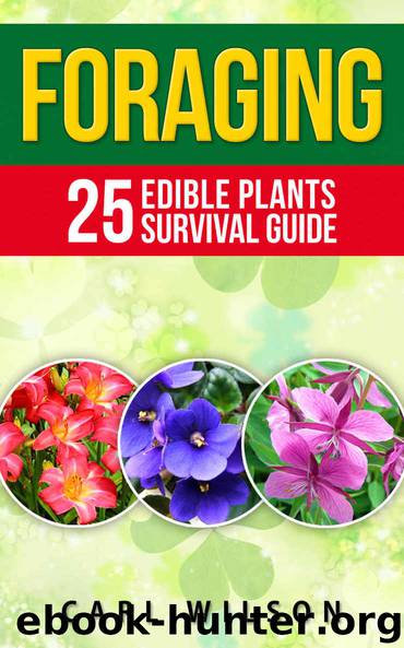 Foraging: 25 Edible Plants Survival Guide (Medicinal Herbs - Medicinal Plants - Wild Edible Plants - Edible Flowers - Wilderness Survival - Survivalist) by Carl Wilson