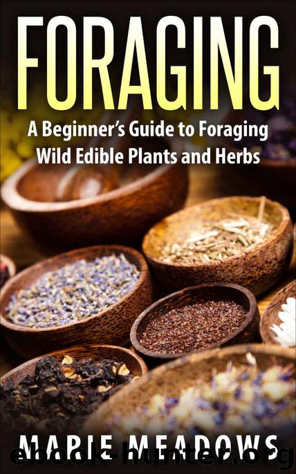 Foraging: A Beginner's Guide To Foraging Wild Edible Plants And Herbs by Marie Meadows