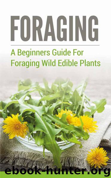 Foraging: A Beginners Guide to Foraging Wild Edible Plants (foraging, wild edible plants, foraging wild edible plants, foraging for beginners, foraging wild edible plants free,) by Stewart Jerry