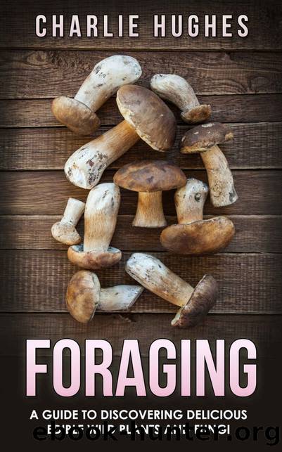 Foraging: A Guide to Discovering Delicious Edible Wild Plants and Fungi (Foraging, Wild Edible Plants, Edible Fungi, Herbs, Book 1) by Charlie Hughes