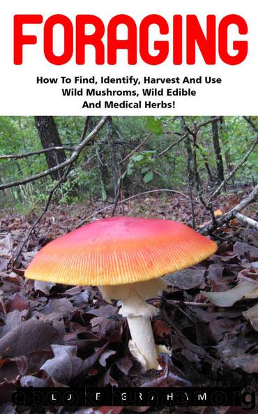 Foraging: How to Find, Identify, Harvest and Use Wild Mushrooms, Wild Edible and Medical Herbs! (Wilderness Survival, Foraging Guide, Wild Edible Plants) by Graham Luke