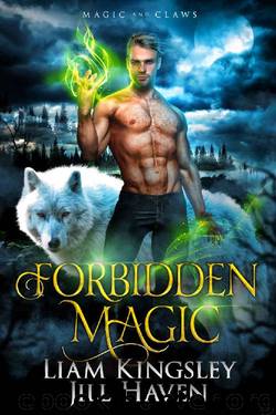 Forbidden Magic by Liam Kingsley & Jill Haven