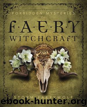Forbidden Mysteries of Faery Witchcraft by Storm Faerywolf