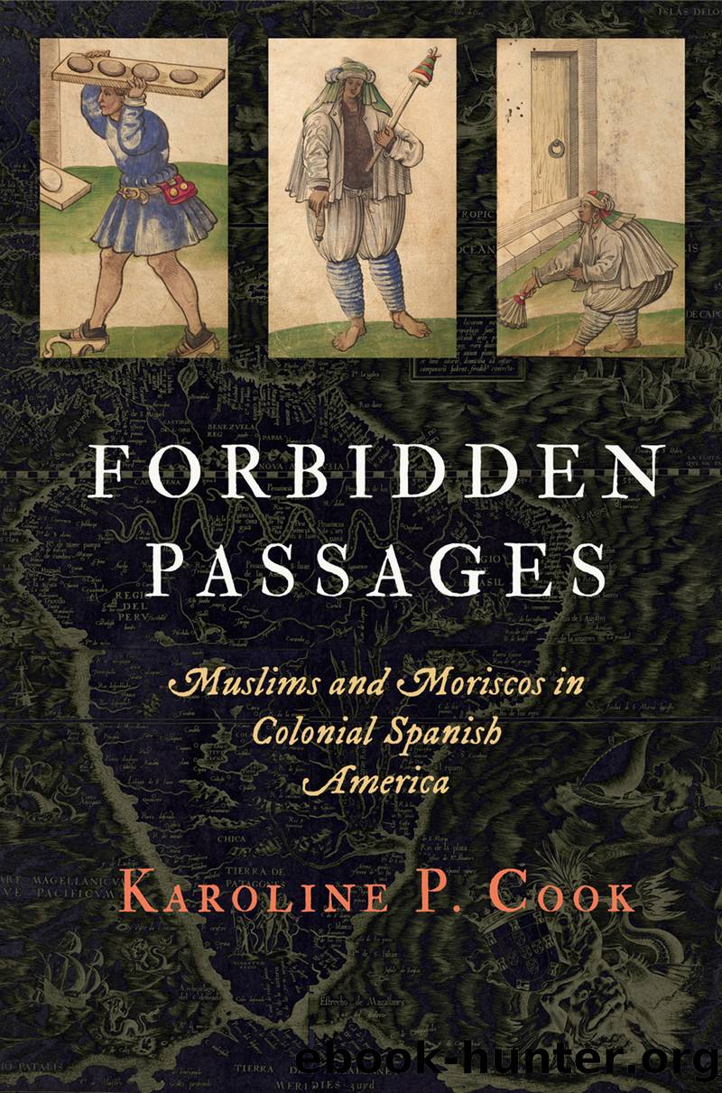 Forbidden Passages by Karoline P. Cook
