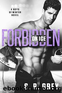 Forbidden on Ice (Boys of Winter Book 8) by S.R. Grey