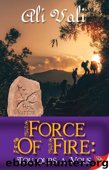 Force of Fire by Ali Vali