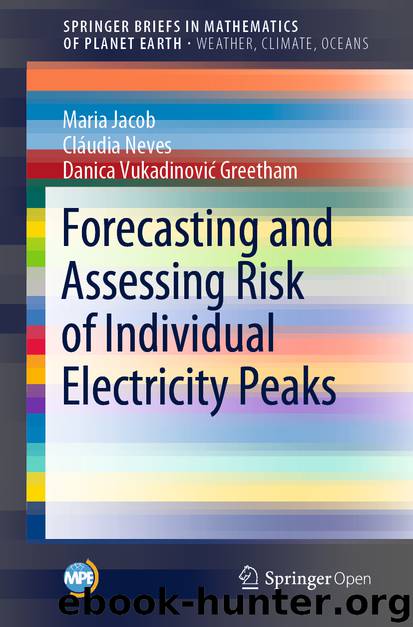 Forecasting and Assessing Risk of Individual Electricity Peaks by Maria Jacob & Cláudia Neves & Danica Vukadinović Greetham