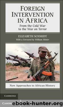 Foreign Intervention in Africa (New Approaches to African History, 7) by Elizabeth Schmidt