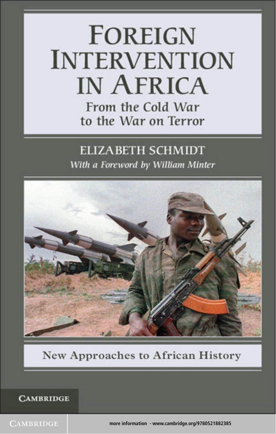 Foreign Intervention in Africa: From the Cold War to the War on Terror by Elizabeth Schmidt