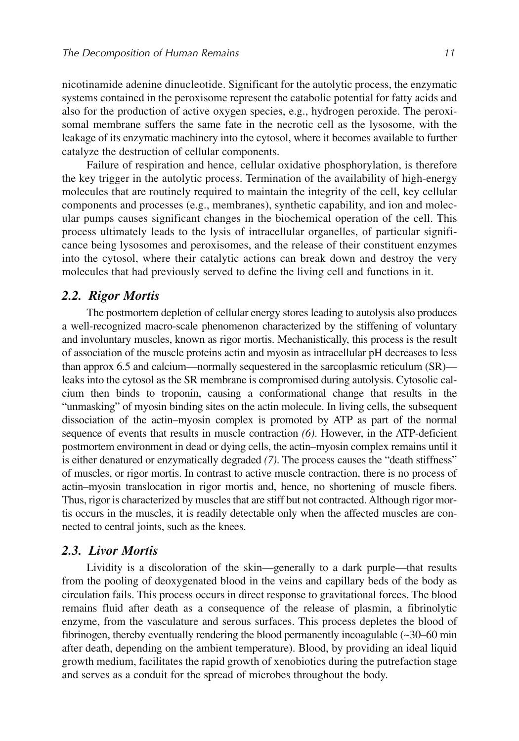 Forensic Medicine of the Lower Extremity by Unknown