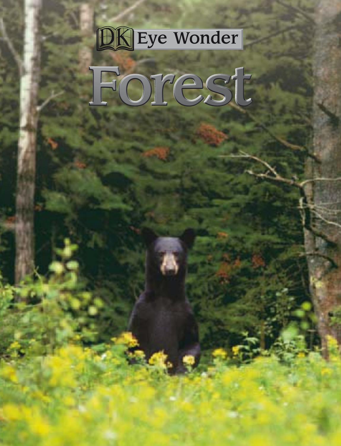 Forest (Eye Wonder) by Deborah Lock and Lorrie Mack