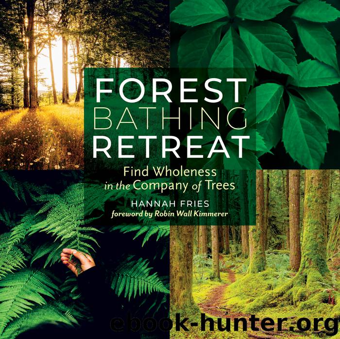 Forest Bathing Retreat by Hannah Fries