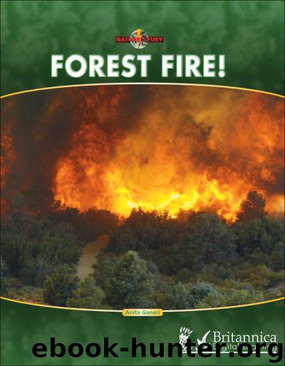 Forest Fire! by Anita Ganeri
