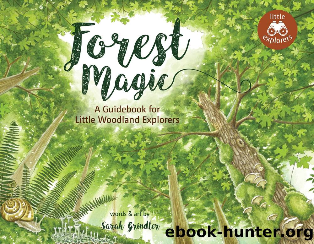 Forest Magic by Sarah Grindler