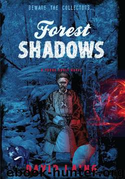 Forest Shadows by David Laing