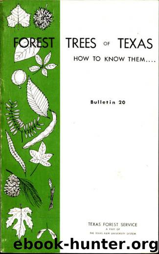 Forest Trees of Texas How to Know Them by W. R. Matoon