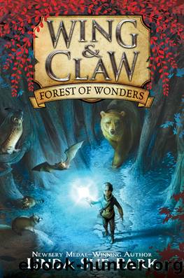 Forest of Wonders by Linda Sue Park