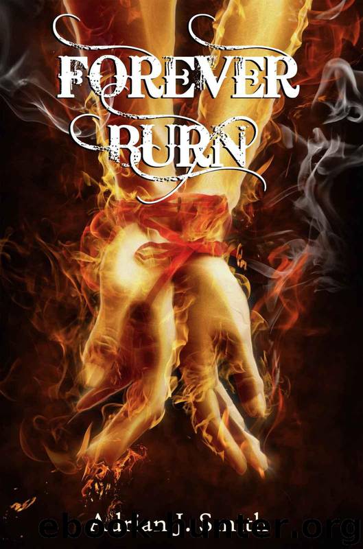 Forever Burn by Smith Adrian J