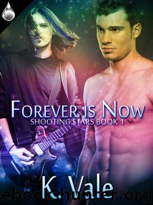 Forever Is Now by K. Vale