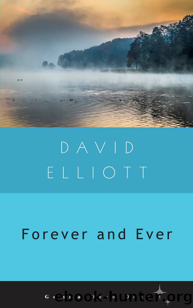 Forever and Ever by David Elliott