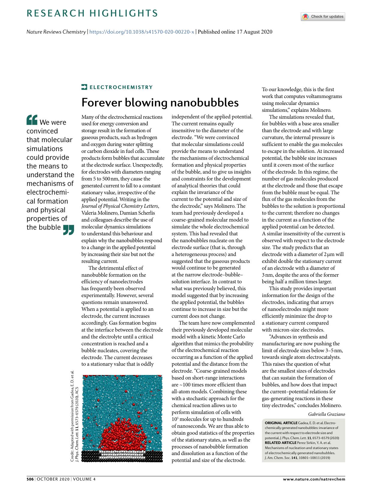 Forever blowing nanobubbles by Gabriella Graziano