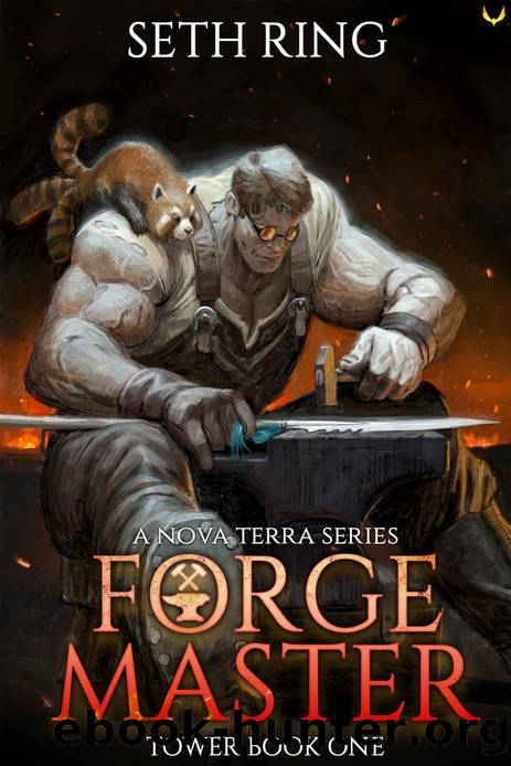 Forge Master: A LitRPG Adventure (Tower Book 1) by Seth Ring