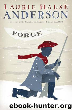 Forge by Laurie Halse Anderson