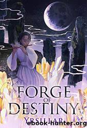 Forge of Destiny Volume 1 (Destiny Cycle) by Yrsillar